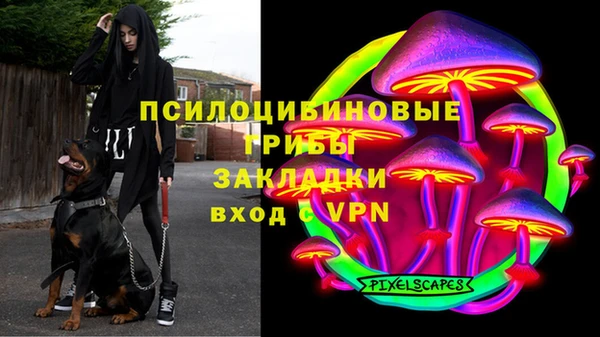 не бодяженный Аркадак