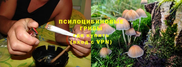 не бодяженный Аркадак