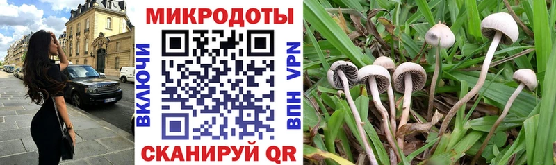 Галлюциногенные грибы прущие грибы  Купить где  Курильск 